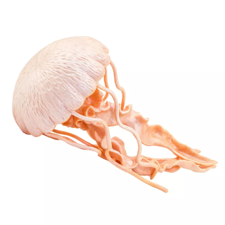 Figura - Medúza