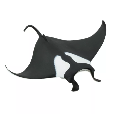 Óriás manta