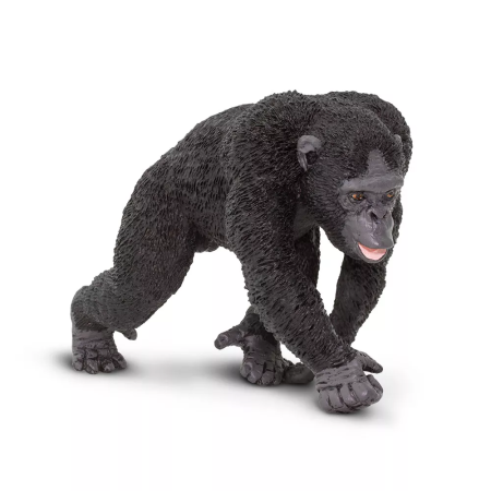 Figura - Csimpánz