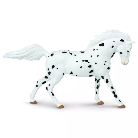 Figura - Knabstruppi ló