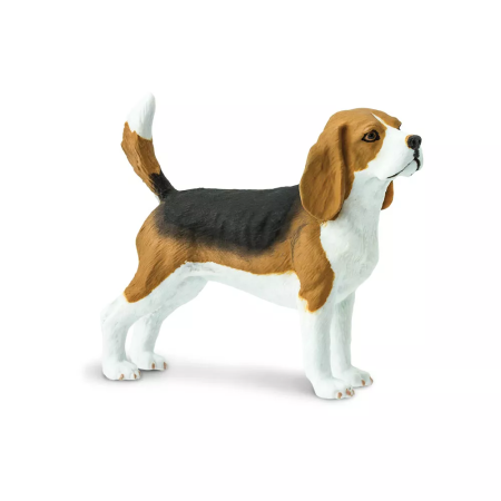 Figura - Beagle