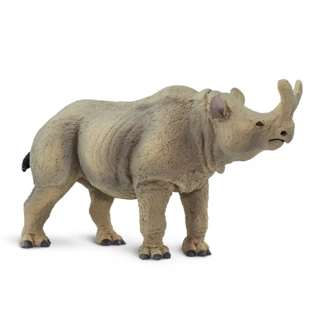 Figura - Megacerops