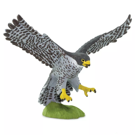 Figura - Vándorsólyom