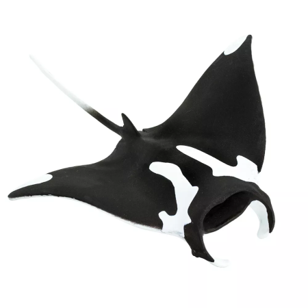 Figura - Manta