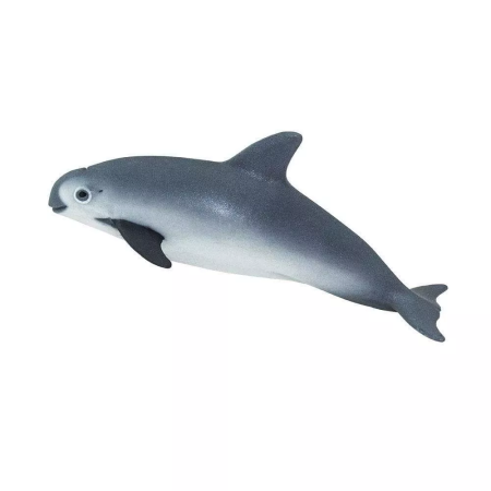 Figura - Kaliforniai disznódelfin