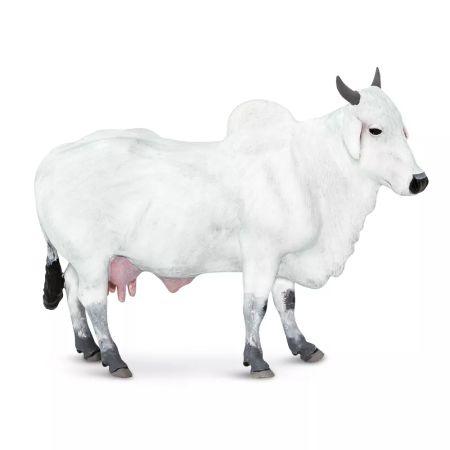 Figura - Házi tur