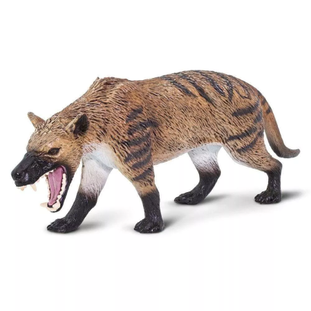 Figura - Hyaenodon gigas