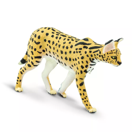 Figura - Szervál