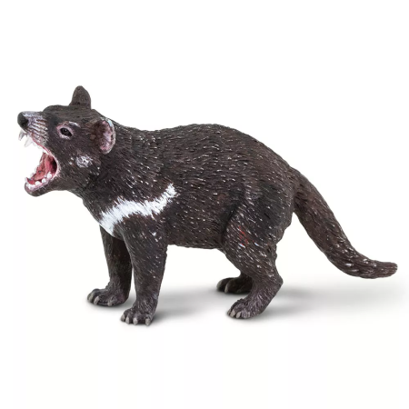 Figura - Tasmán ördög