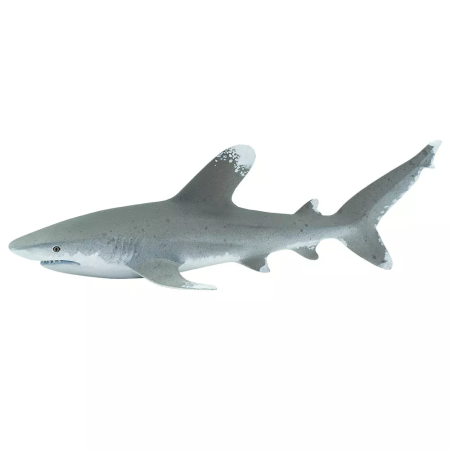 Figura - Hosszúszárnyú cápa