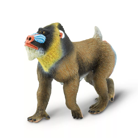 Figura - Mandrill orrszarvú