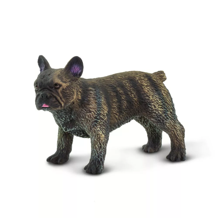 Figura - Francia bulldog