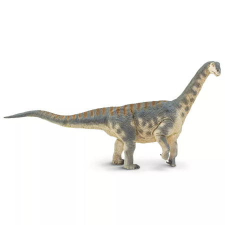 Figura - Camarasaurus