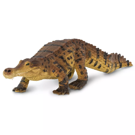Figura - Sarcosuchus
