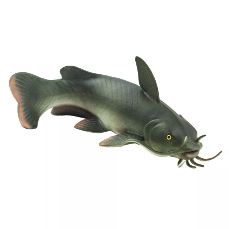 Figura - Harcsa