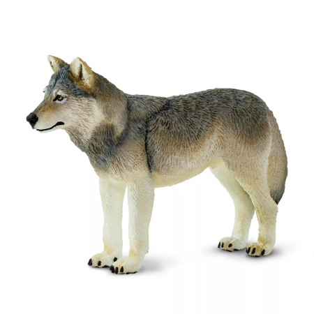 Figura - Szürke farkas