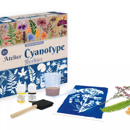 Sentosphere Cianotípia - Herbárium műhely