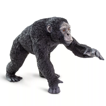 Safari Ltd. Figura - Csimpánz