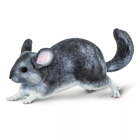 Figura - Csincsilla