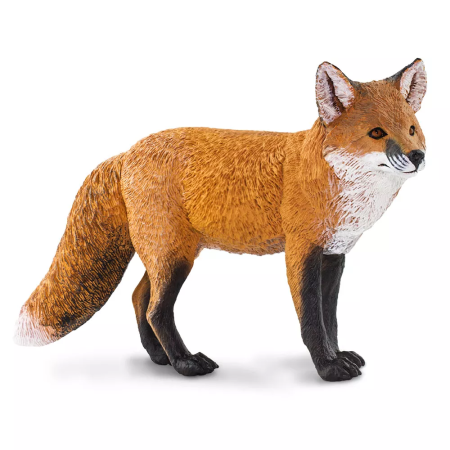 Figura - Rókakoma