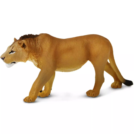 Safari Ltd. Figura - Növendék oroszlán