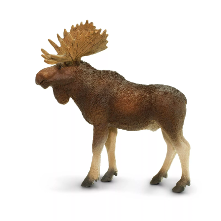 Safari Ltd. Figura - Európai jávorszarvas
