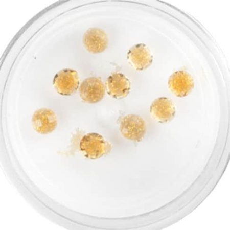 Plexi Glitter - 05 ()