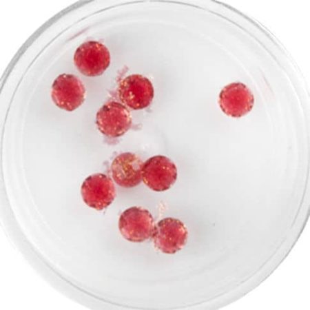 Plexi Glitter - 16 ()
