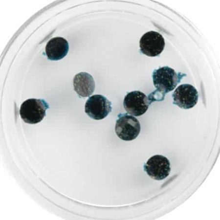 Plexi Glitter - 19 ()