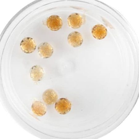 Plexi Glitter - 22 ()
