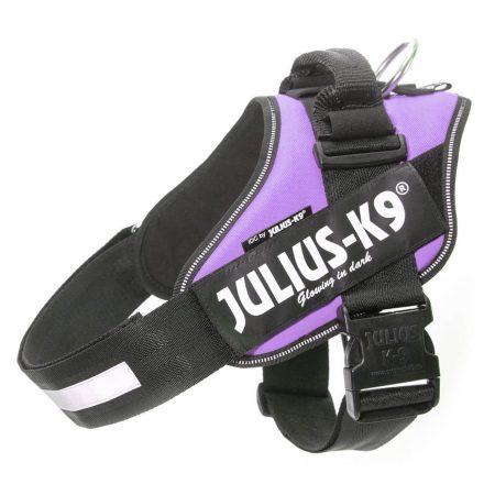 Julius-K9 IDC Powerhám