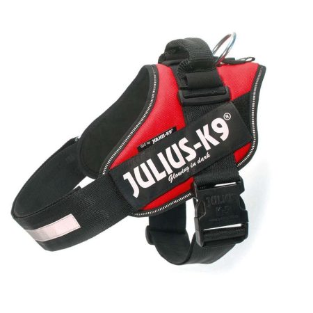 Julius-K9 IDC Powerhám