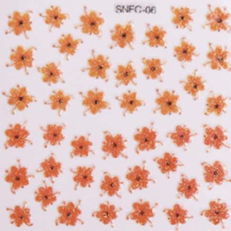 SNFC-06 ()