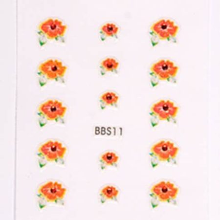 BBS11 ()