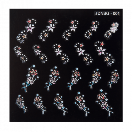 DNSG-001 ()