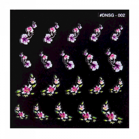 DNSG-002 ()