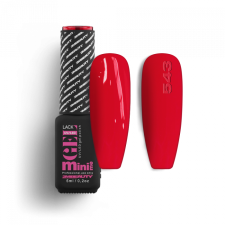 Gel Lack - HEMA Mentes 543 (5ml - mini me)