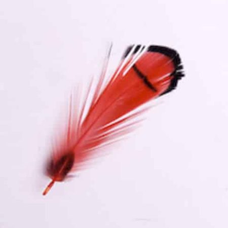 Toll 204 Red ()