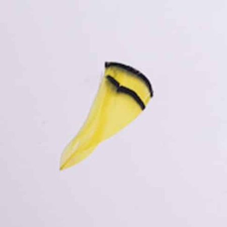 Toll 202 Yellow ()