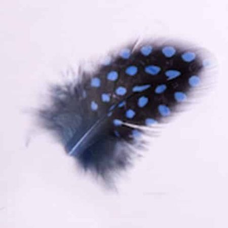 Toll 107 Blue ()