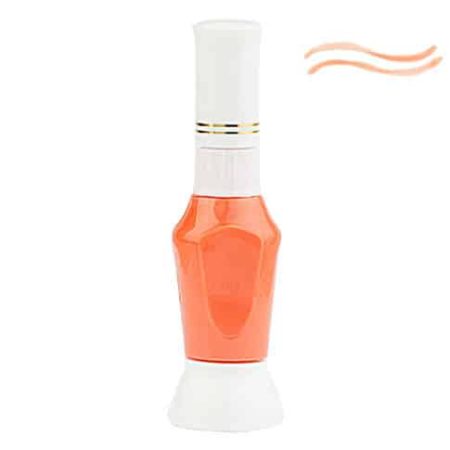 Nail Art Pen 17 ()