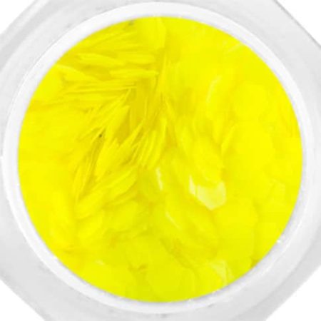 Formalap Neon - L233 (3g)