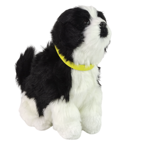 Interaktív border collie kutya