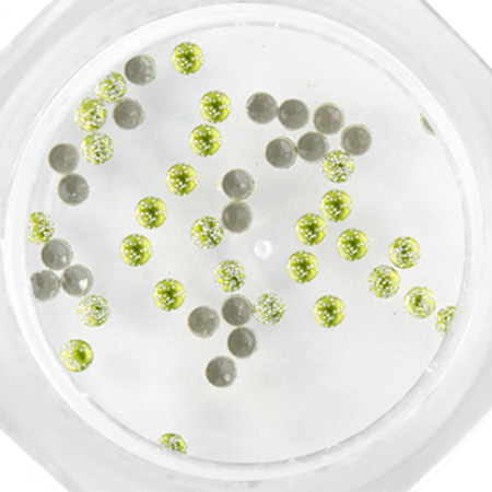 Stud Glitter 106 Light Green ()