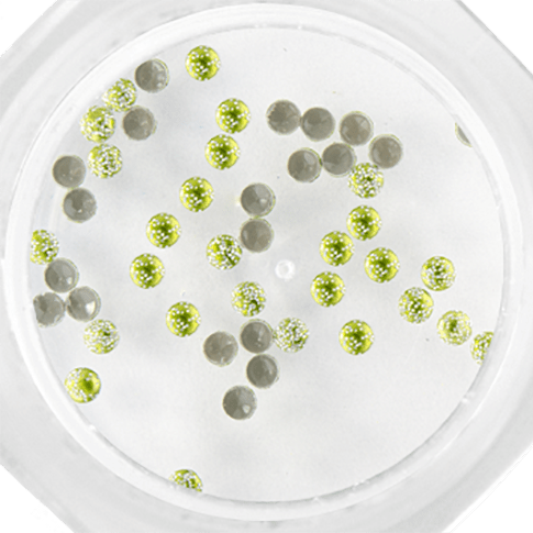Stud Glitter 106 Light Green ()