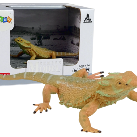 Ausztrál agama figura