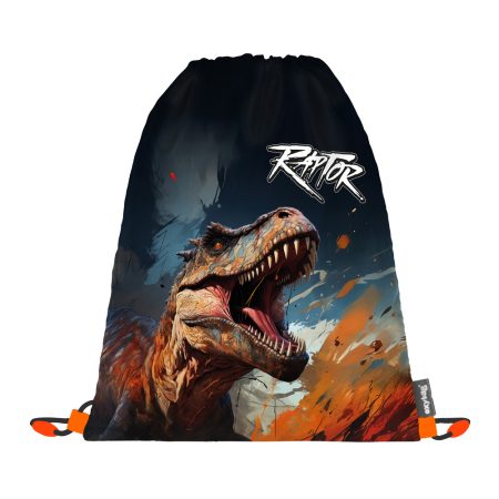Tornazsákok Dino Raptor