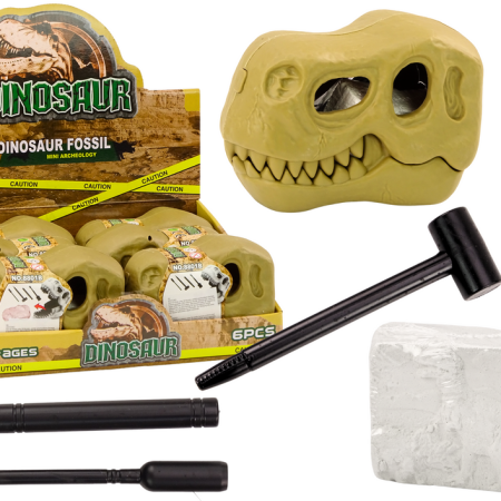 Régészeti ásatási készlet dinoszauruszok fosszilis koponyája