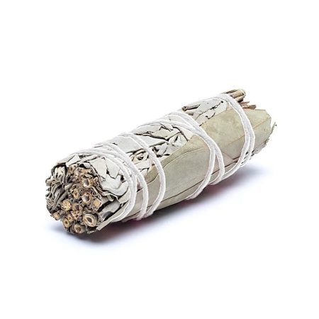 White Sage & Eucalyptus - Fehér Zsálya Eukaliptusz - köteg