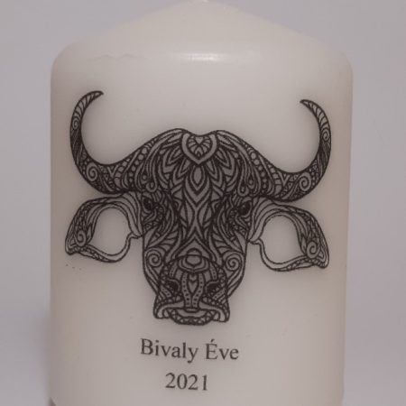 Bivaly - 2021-es év gyertyája